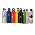 20 Oz. Aluminum Sports Water Bottle w/ Carabiner